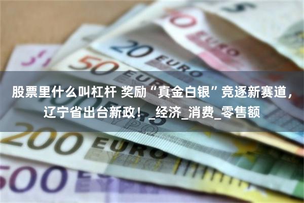 股票里什么叫杠杆 奖励“真金白银”竞逐新赛道，辽宁省出台新政！_经济_消费_零售额