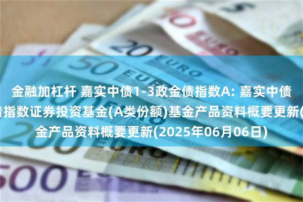 金融加杠杆 嘉实中债1-3政金债指数A: 嘉实中债1-3年政策性金融债指数证券投资基金(A类份额)基金产品资料概要更新(2025年06月06日)