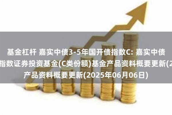 基金杠杆 嘉实中债3-5年国开债指数C: 嘉实中债3-5年国开行债券指数证券投资基金(C类份额)基金产品资料概要更新(2025年06月06日)