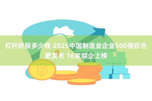 杠杆炒股多少钱 2025中国制造业企业500强在合肥发布 16家皖企上榜