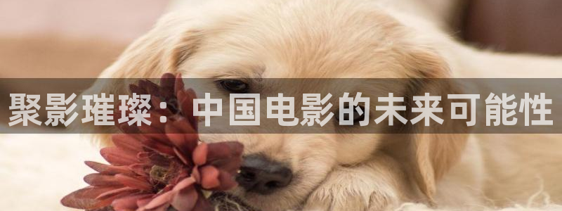 八戒视频在线观看免费高清电视剧