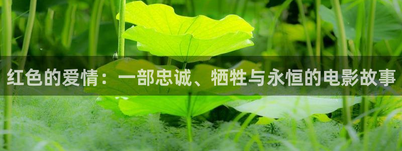 八戒影院理伦