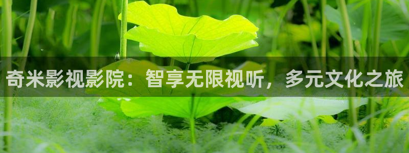 八戒八戒电影在线播放大全