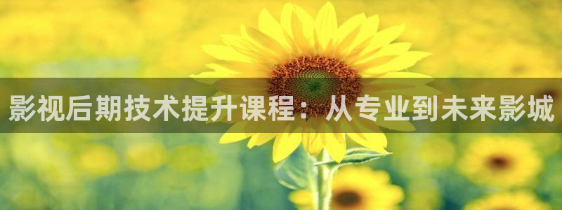 八戒八戒www电影在线观看网