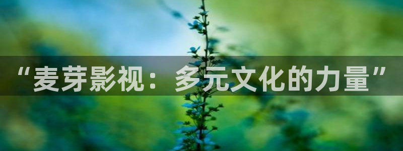 八戒八戒电影免费高清资源