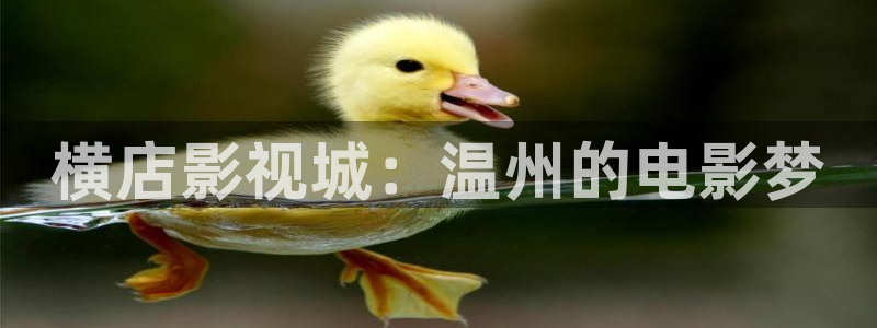 八戒理伦电影